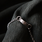 The Aion Necklace